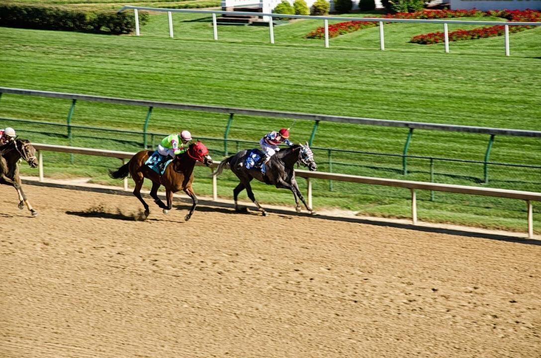 #10. Kentucky